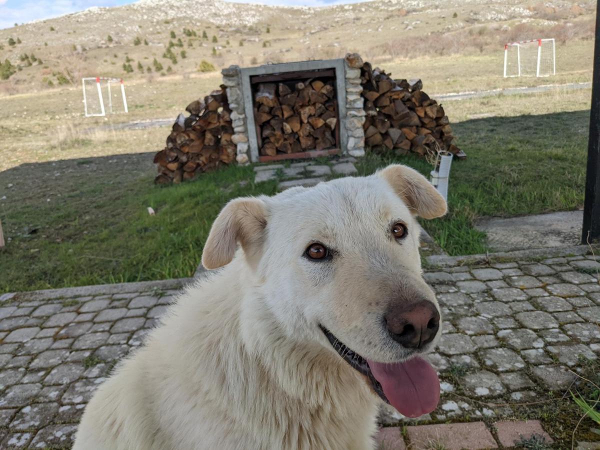 Rifugio Silone Hostel Pescina Екстериор снимка